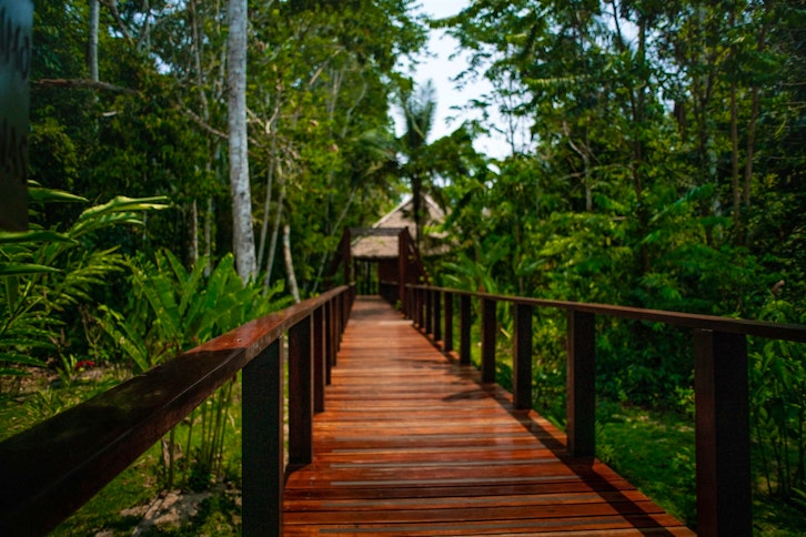 Bridges, Posada Amazonas, Peru