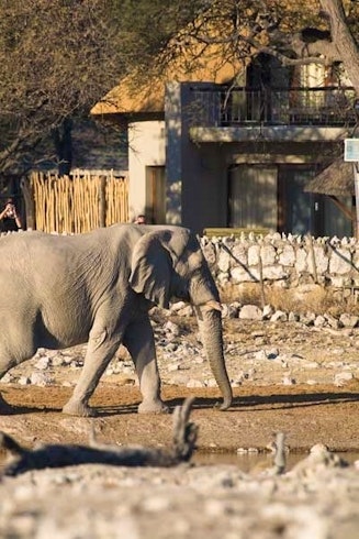 Okaukuejo Rest Camp 5