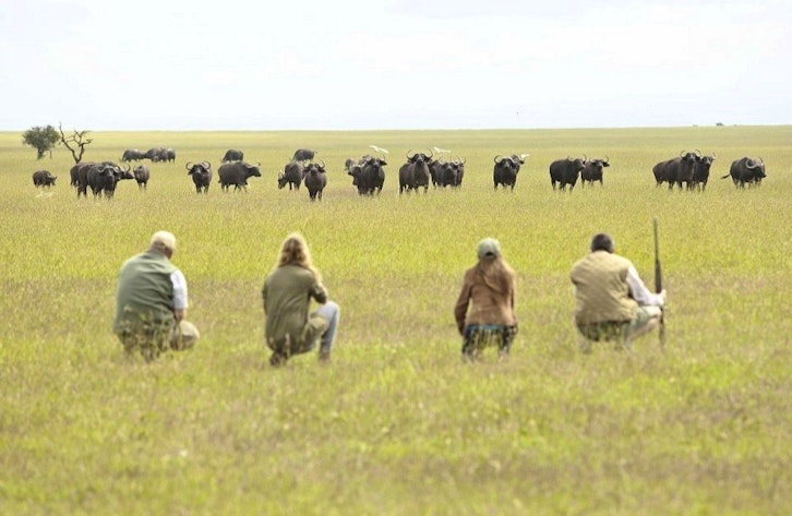 Game Walk, Ol Pejeta Bush Camp, Laikipia, Kenya