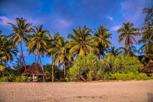 Pongwe Beach Hotel image 1
