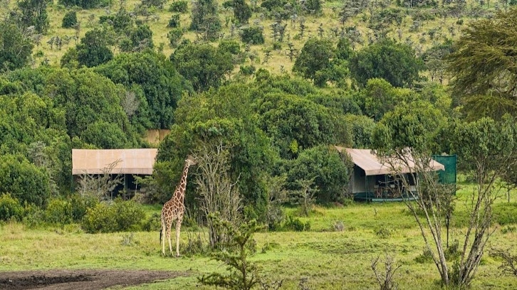 Exterior, Porini Rhino Camp, Laikipia, Kenya