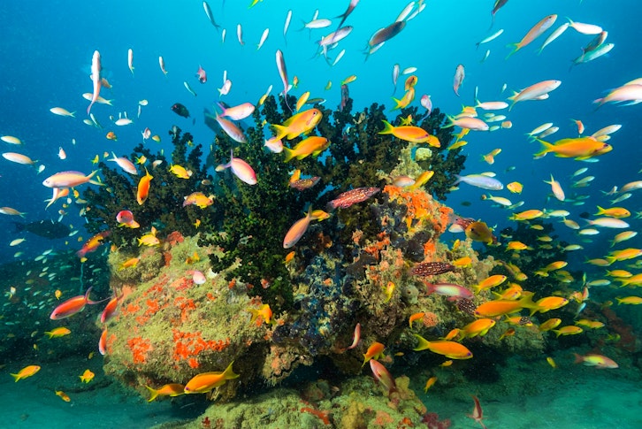 Machangulo Beach Lodge 5