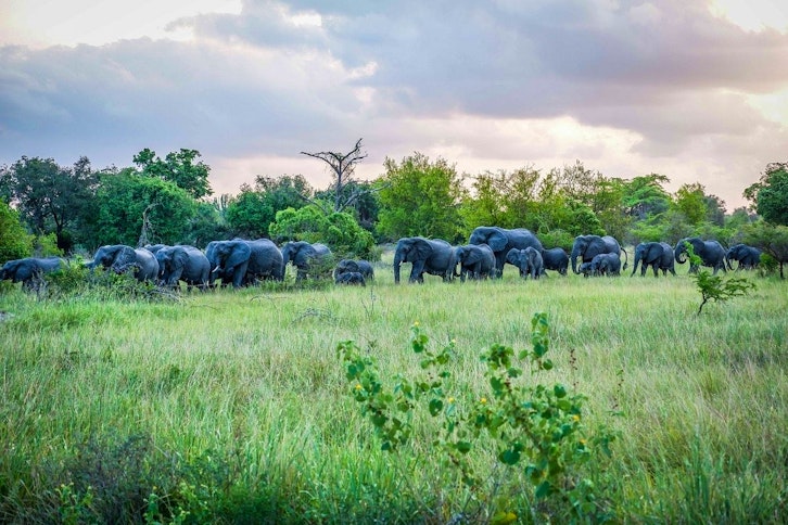 Sanctuary Saadani Safari Lodge 10