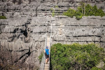 | 26 October 2025 | Ankarana National Park