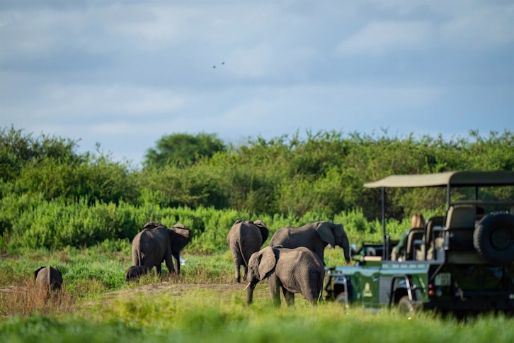 Tanzania Safari & Zanzibar Coast