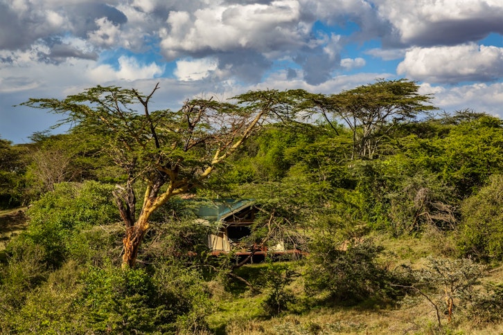 Gamewatchers, Porini Mara Camp, Masai Mara, Kenya