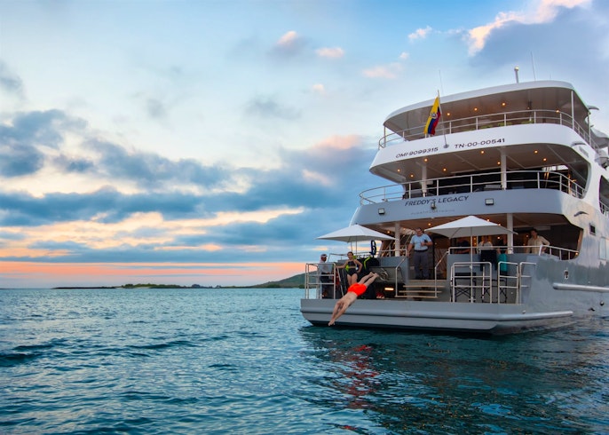 Swimming, Galapagos Tribute