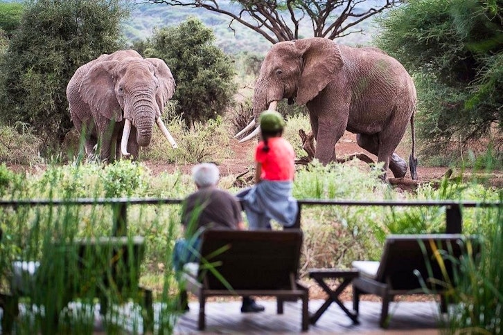 Elephants, Tawi Lodge, Amboseli, Kenya