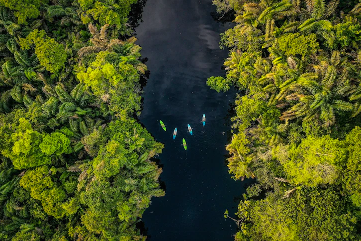 Kayaking, Tortuga Lodge, Tortuguero National Park, Costa Rica