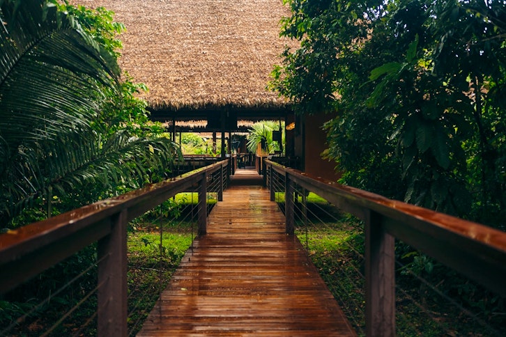 Lobby Entrance, Tambopata Research Centre, Peru