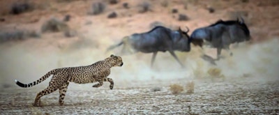 Adventure in the Northern Cape of South Africa