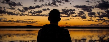 Birds and Beasts in Brazil - Searching for Wildlife in the Pantanal