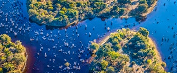 Botswana And Zambia Safari Review 