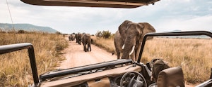 The Packing List and Tips for a First-Time Safari 