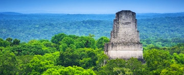 5 Things You Should Know About The Maya