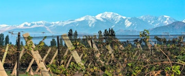 Mendoza Travel Guide: Things to Do, Where to Stay & Why It’s Worth Visiting