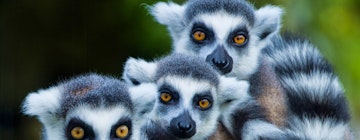 Madagascar In Conversation With Hilary Bradt