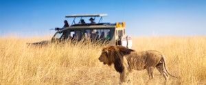 Choosing where to go on safari