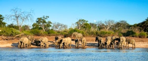 Meeting the wildlife in Botswana