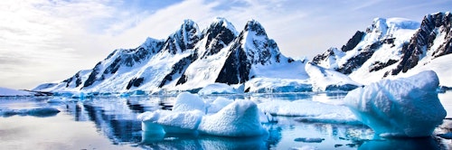 The Falkland Islands