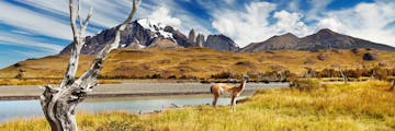 Santiago - Punta Arenas - Torres del Paine
