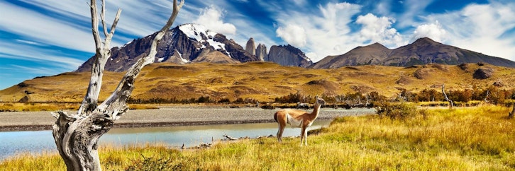 Santiago - Punta Arenas - Torres del Paine
