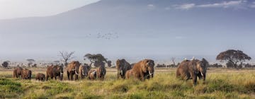 Amboseli National Park – Selenkay Conservancy
