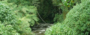 Kigali (KGL) - Kigali - Uganda/Rwanda Cyanika Bord