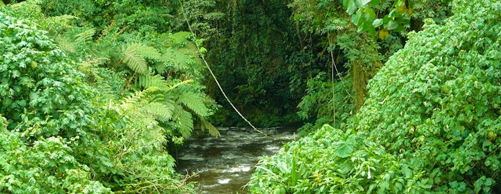 Kigali (KGL) - Kigali - Uganda/Rwanda Cyanika Bord