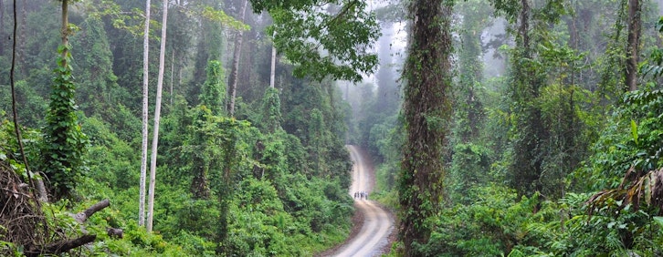 Sukau - Lahad Datu - Danum Valley Conservation Are