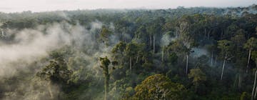 Deramakot Forest Reserve