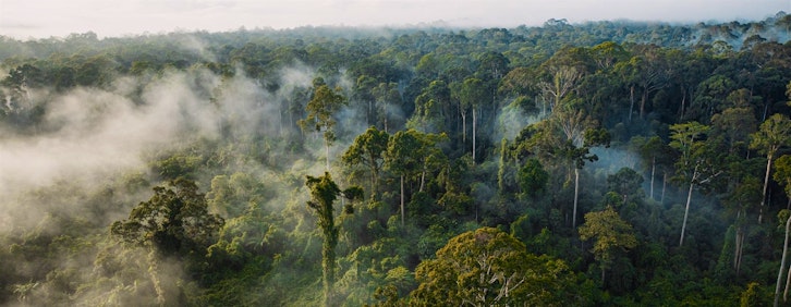 Deramakot Forest Reserve