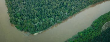 Kota Kinabalu -  Sandakan (flight) - Sepilok (driv