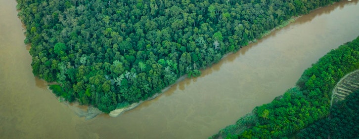 Kota Kinabalu -  Sandakan (flight) - Sepilok (driv