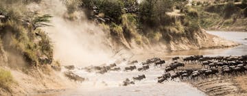 Nairobi – Masai Mara National Park – Mara North Co