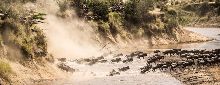 Nairobi – Masai Mara National Park – Mara North Co