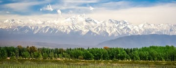 El Calafate - Mendoza