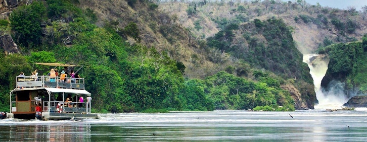 Kibale Forest National Park - Murchison Falls National Park