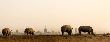 Take to the skies...