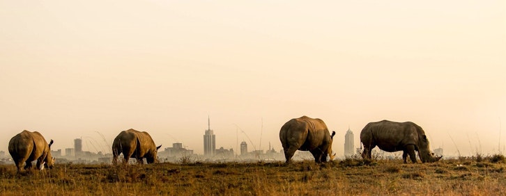 Take to the skies...