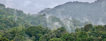 Road journey to Nyungwe National Park