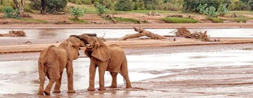 Nairobi – Shaba Game Reserve