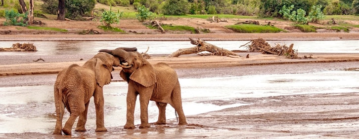 Nairobi – Shaba Game Reserve