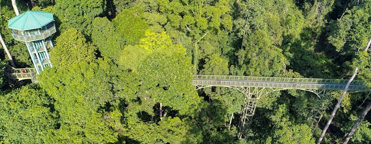 Kinabalu Park – Kota Kinabalu (drive) - Sandakan (