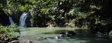 Danum Valley Conservation Area - Tabin Wildlife Re