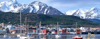Ushuaia & Tierra del Fuego