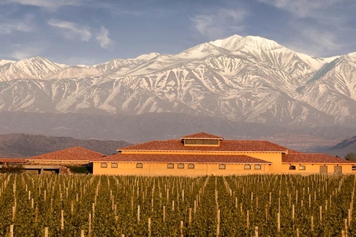 Wine Experience - Lujan de Cuyo with Lunch 1