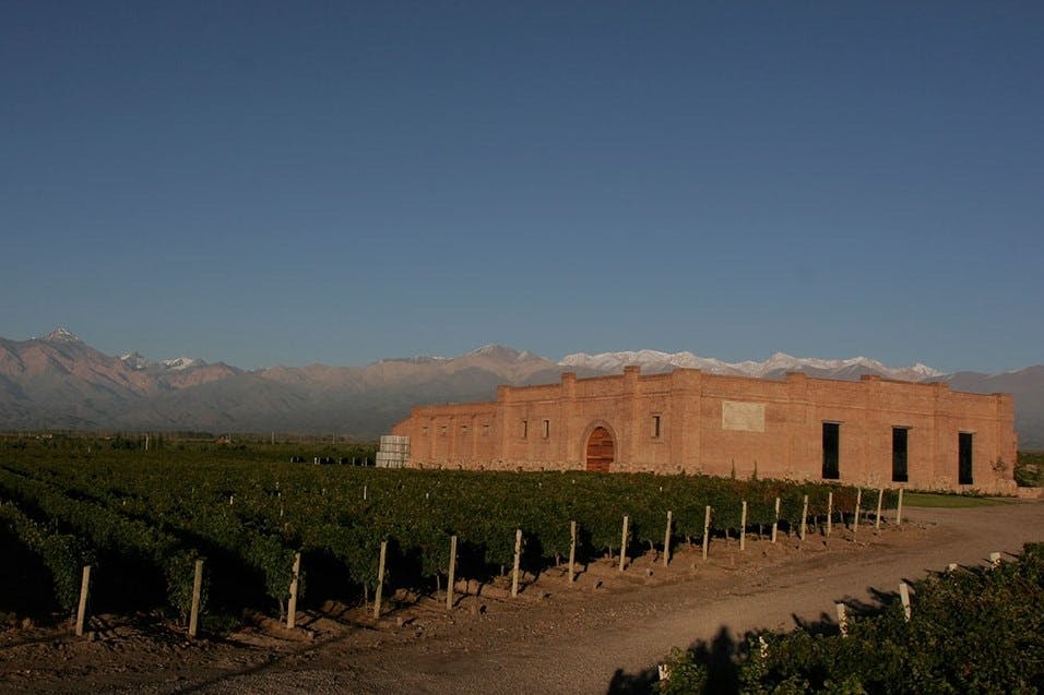 Wine Experience - Uco Valley with Lunch 4