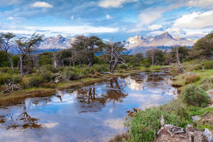 Tierra del Fuego National Park 1