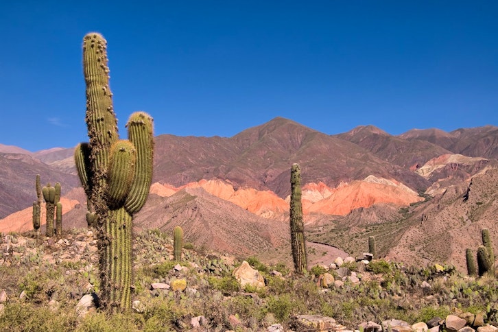 Salta - Cachi - Cafayate - Salta Circuit 1